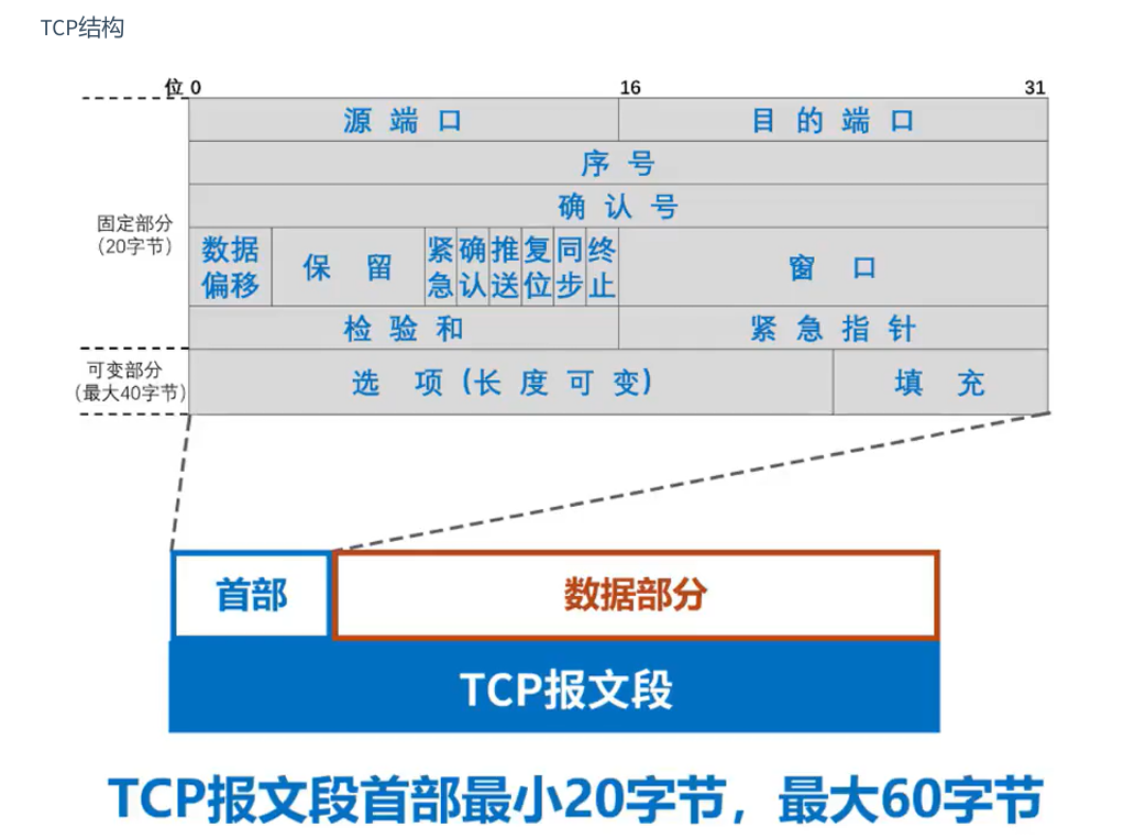 TCP数据报格式