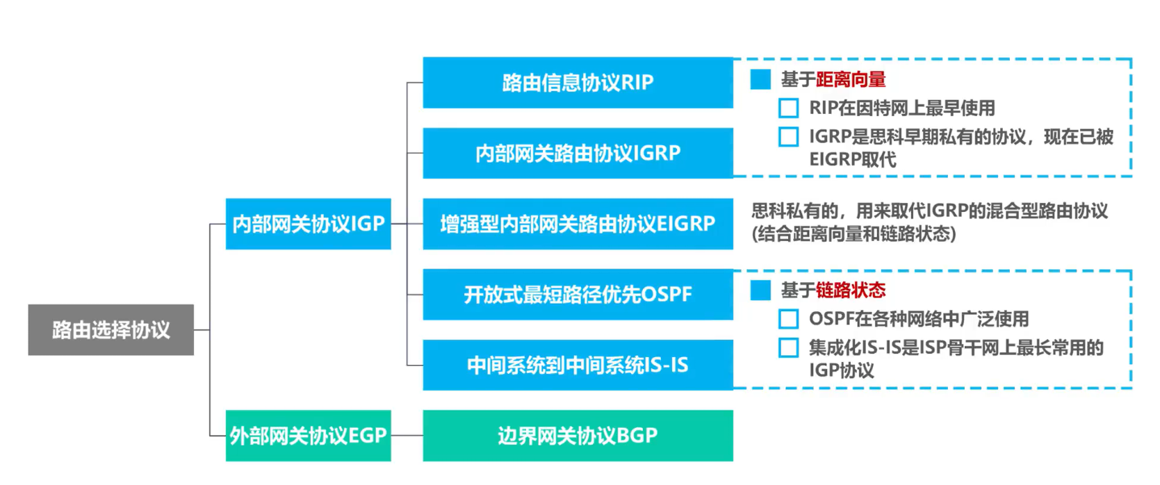 路由器选择协议